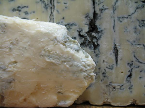 gorgonzola2